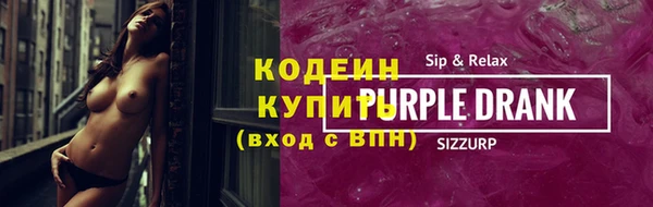 прущие грибы Заводоуковск