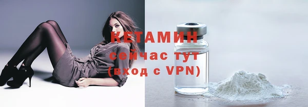 прущие грибы Заводоуковск
