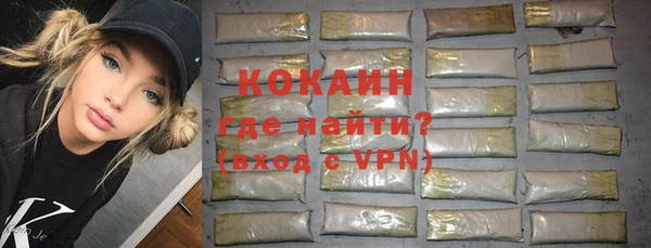 прущие грибы Заводоуковск